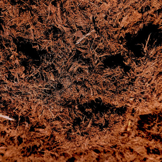 What Is Gorilla Hair Mulch?