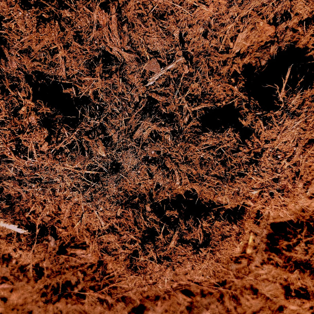 What Is Gorilla Hair Mulch?